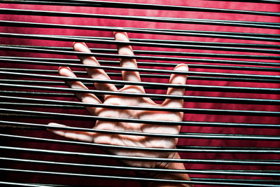 Close-up of hand on blinds