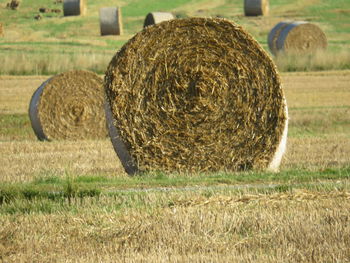Hay bales on field