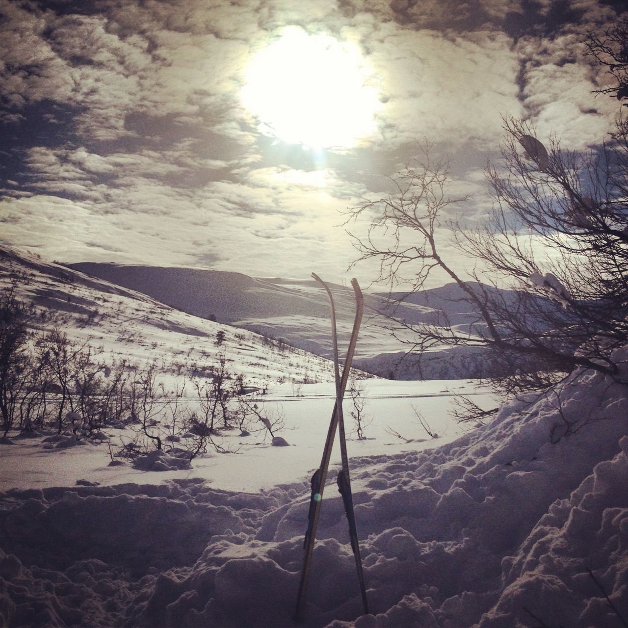 snow, sun, winter, cold temperature, tranquility, sunlight, tranquil scene, nature, bare tree, sky, scenics, beauty in nature, sunbeam, water, weather, season, landscape, frozen, day, no people