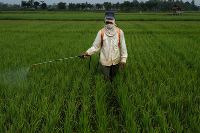 Farmer watering rice
