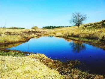 Scenic view of calm lake against clear sky