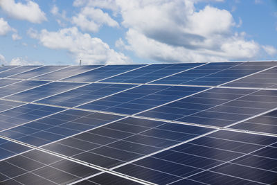 environmental conservation