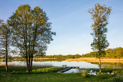 Trees on field by lake against sky