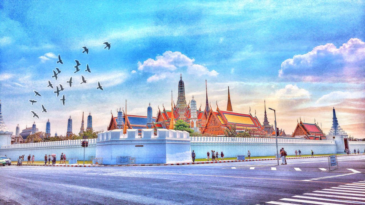 VIEW OF BIRDS BY BUILDING