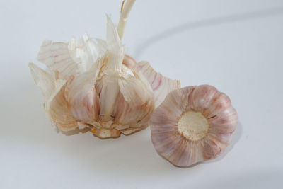Close-up of garlic on white background