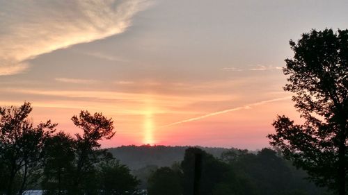 Trees against sky during sunset