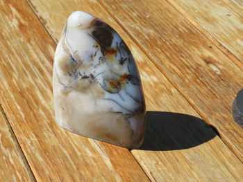 High angle view of bird on wooden table