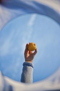 Reflection of cropped hand holding fruit in mirror