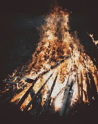Close-up of illuminated tree against sky during winter