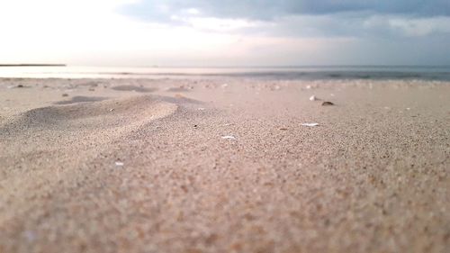 Close-up of wet sand on beach against sky