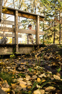 Children in wooden garden