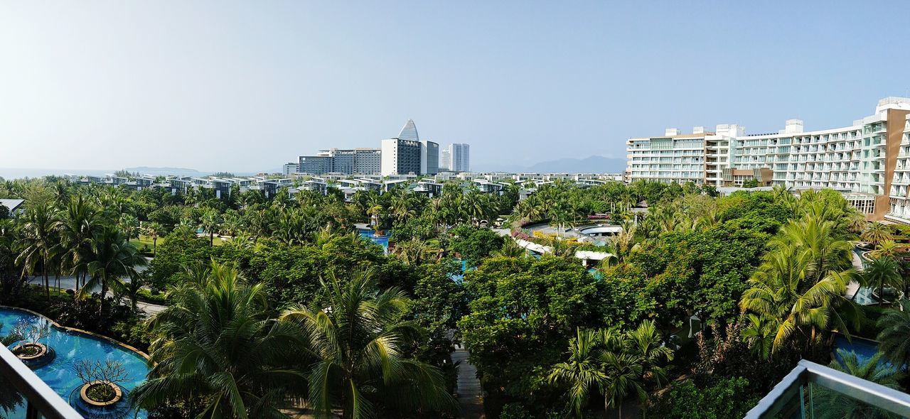 architecture, tree, building exterior, built structure, day, clear sky, city, high angle view, no people, green color, growth, panoramic, outdoors, palm tree, skyscraper, sky, cityscape, nature