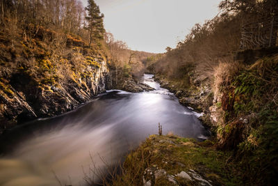 Stream flowing through rocks in forest