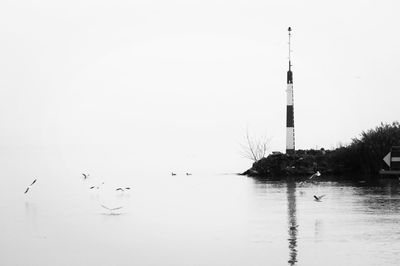 Birds swimming in lake against sky