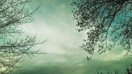 Low angle view of bare trees against cloudy sky