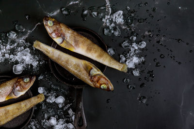 High angle view of fish in container