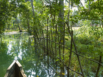 Scenic view of lake in forest