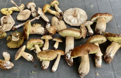 High angle view of mushrooms on table