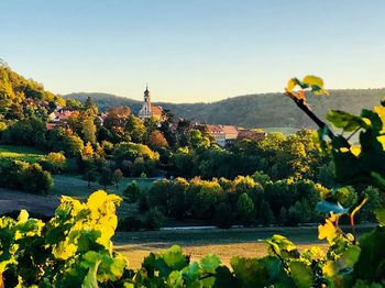Scenic view of yellow and trees by building against sky