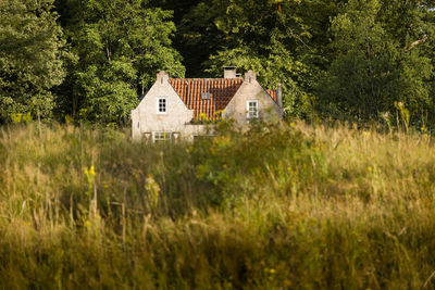 House on field against trees and plants