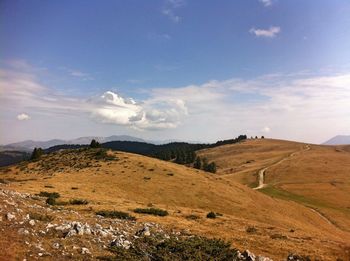 Scenic view of landscape against sky