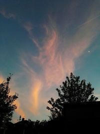 Low angle view of silhouette trees against rainbow in sky