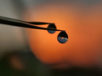 Close-up of water drops on orange sky