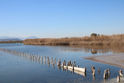 Scenic view of lake against clear sky