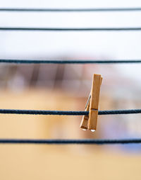 Close-up of clothespins hanging on rope