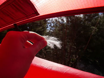 Close-up of person holding red umbrella