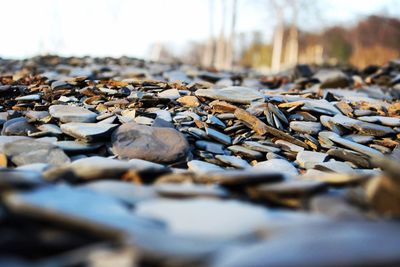 Close-up of stones on beach