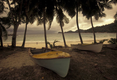 Scenic view of boats and palm trees on beach