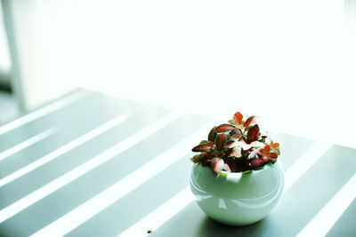 Close-up of cake on table