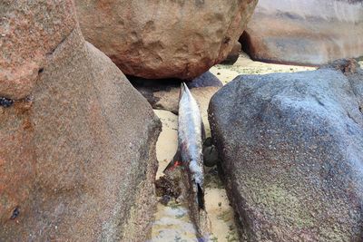 High angle view of rock formation in water