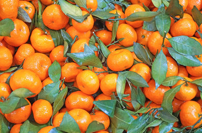 Full frame shot of oranges in market