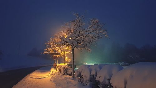 Trees on snow covered land against sky at night