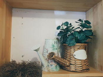 Potted plant on table against wall at home