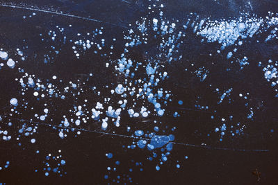 High angle view of trees during rainy season