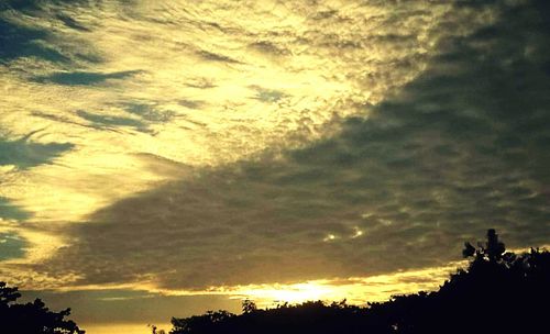 Silhouette of trees against cloudy sky