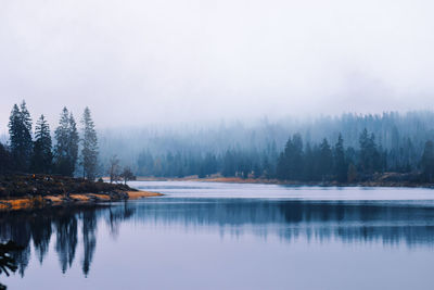 Scenic view of lake in forest against foggy sky