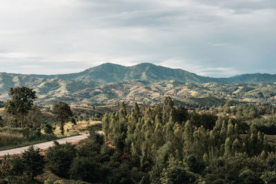 Scenic view of landscape against sky