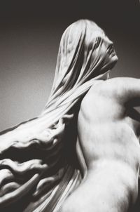 Close-up of white flower over black background