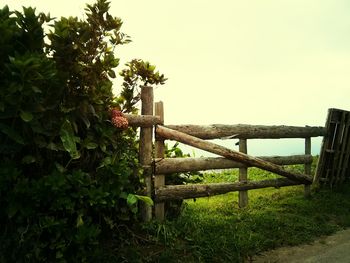 Wooden fence on field