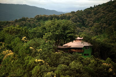 House amidst trees on mountain