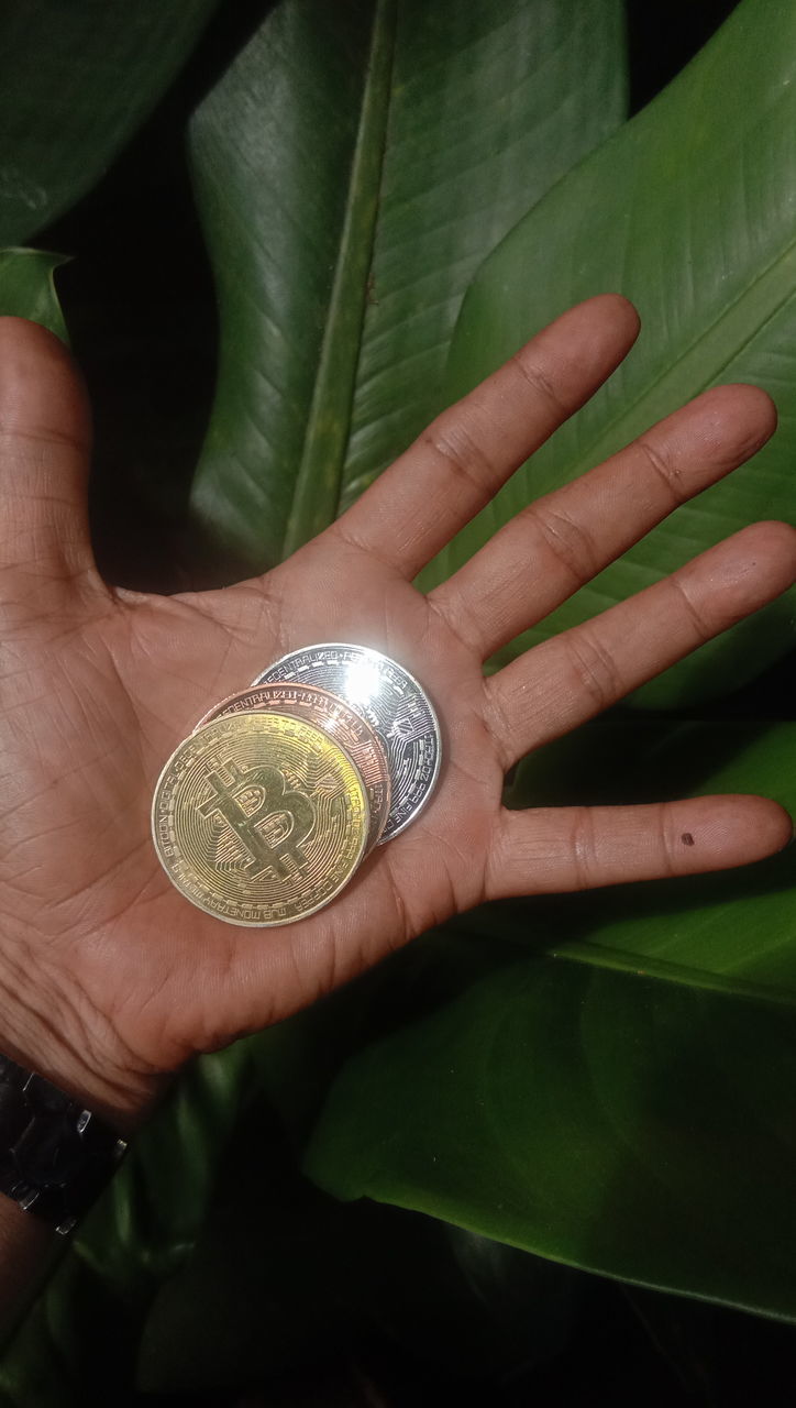 green, hand, finance, one person, currency, coin, wealth, business, holding, finger, adult, close-up, leaf, money handling