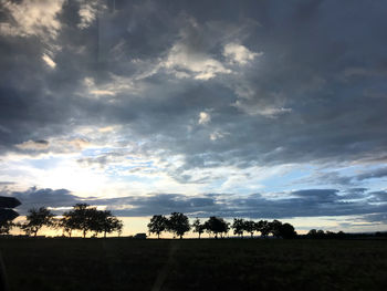 Silhouette trees on field against sky at sunset