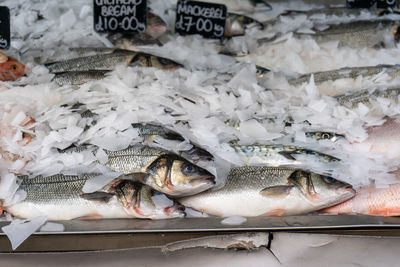 Fish for sale at market stall
