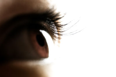 Close-up of cropped woman