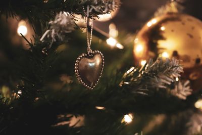 Close-up of illuminated christmas tree