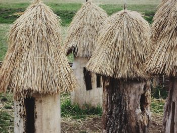 Wooden posts on field